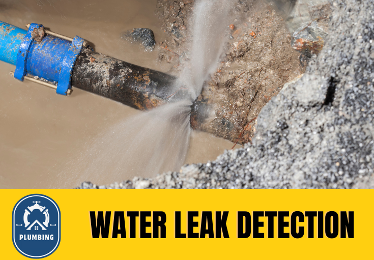 leak detection Liverpool